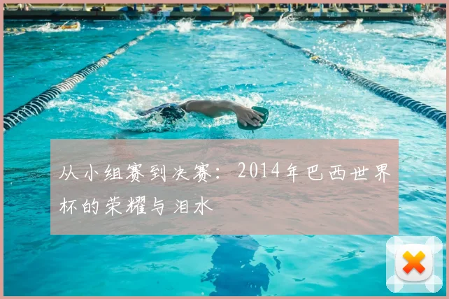 从小组赛到决赛:2014年巴西世界杯的荣耀与泪水