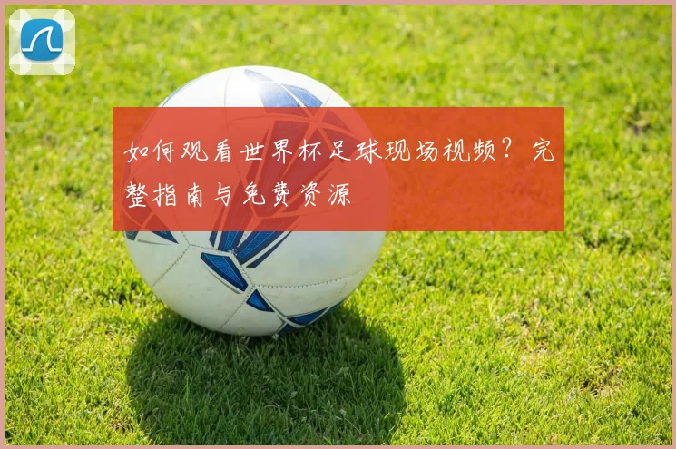 如何观看世界杯足球现场视频?完整指南与免费资源