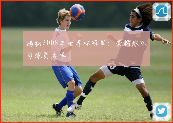 揭秘2008年世界杯冠军:荣耀球队与球员名单