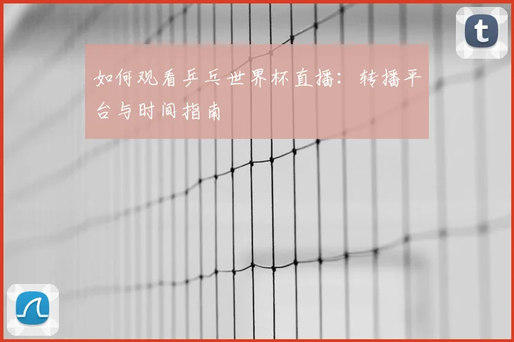 如何观看乒乓世界杯直播:转播平台与时间指南