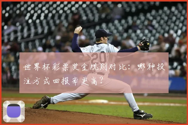 世界杯彩票奖金规则对比：哪种投注方式回报率更高？